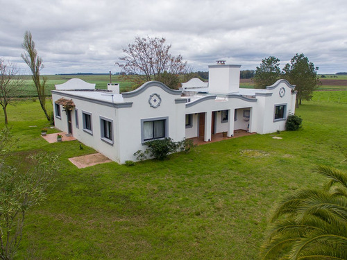 Campo En Venta En Florida Ref. 4408 (ref: Cbr-669)