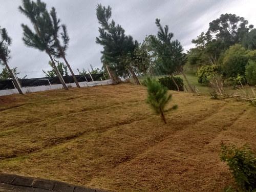 Imagem 22 de 25 de Chácara Rural Em Mairinque - Sp - Ch0016_nbni