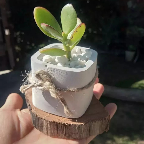 Maceta De Yeso Cuadrada Souvernir Velas Cera Soja Decoracion Blanco 50 Unidades