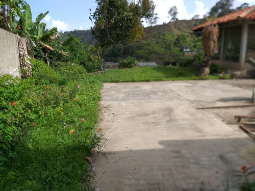 Imagen 7 de 13 de Terreno Zona Industrial Las Minas San Antonio De Los Altos
