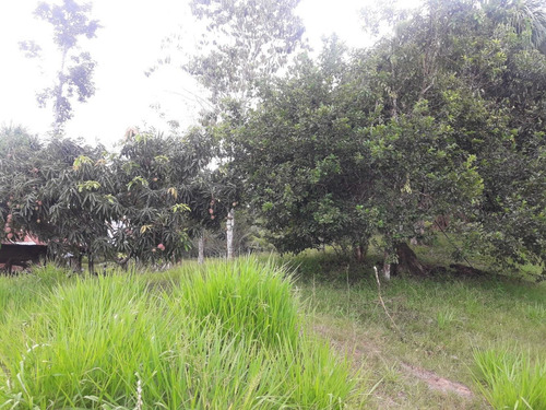 Imagen 2 de 6 de Venta De Terreno En La Carretera Iquitos/nauta Km 65