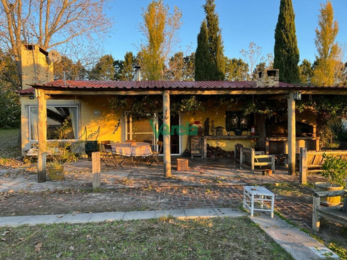 Imagen 17 de 23 de Chacra De 5,6 Has Por Ruta 11 - Atlantida Estación Atlántida