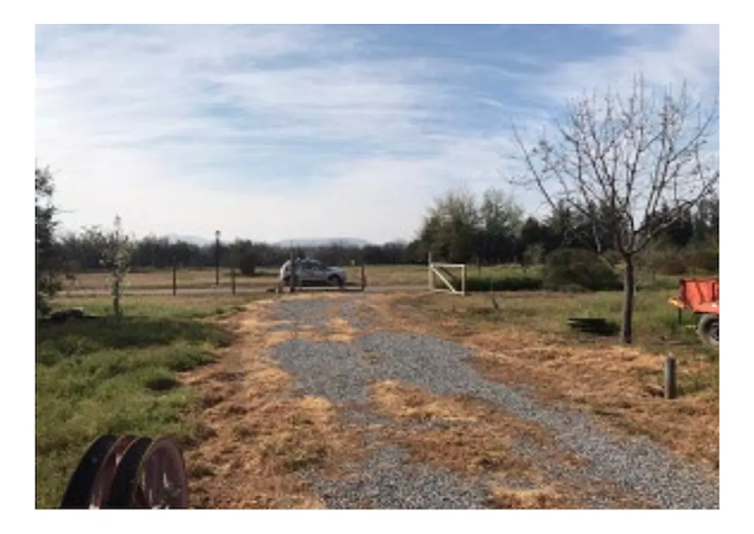 Imagen 3 de 13 de Venta Parcela De 5.000 M2 Con Cabaña En Polpaico
