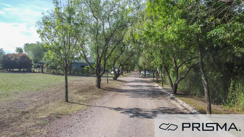 Terreno Doble/simple En Venta - Causana -