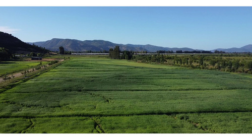 Parcelas Agroresidenciales Exclusivas En Curico Sector Rauco