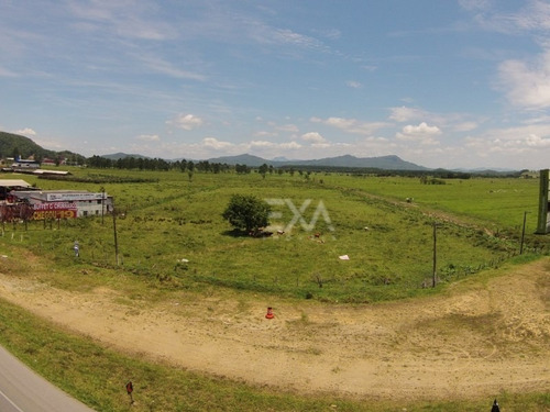 Imagem 1 de 25 de Terreno A Venda Na Br 101, Cidade De Penha (sc) - Exa Imóveis. - 0915