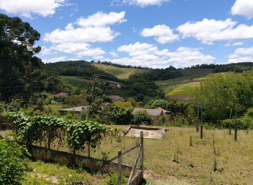 Imagem 19 de 29 de Chácara Ibiuna 2.400 Mts Casa,pomar, Piscina, Oportunidade
