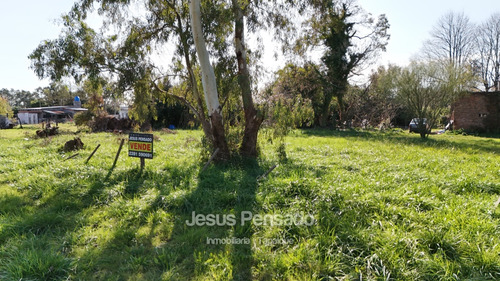 En Venta Terreno Baldio Tapalque.