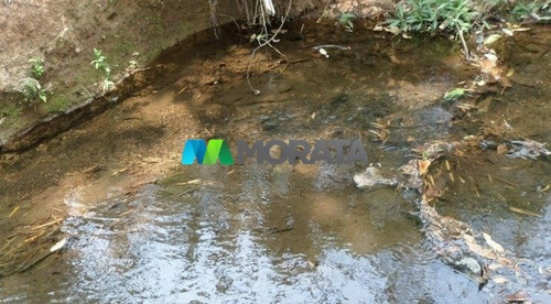 Imagem 5 de 15 de Fazenda - Zona Rural - Ref: 4350 - V-mta4350