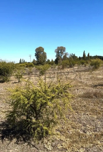 Oportunidad! Parcela De 6.500 M² En Bulnes
