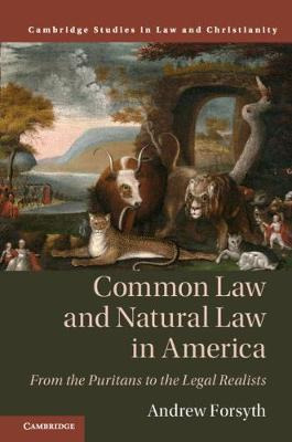 Libro Common Law And Natural Law In America : From The Pu...