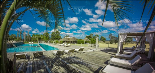 Espectacular Chacra A Estrenar En Venta En Barrio Privado En La Barra - Ref: 30651