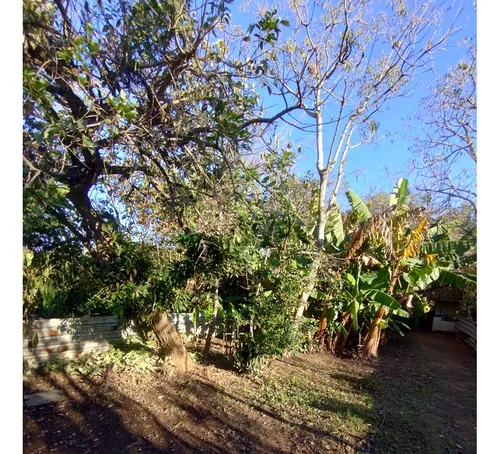 Mini Sítio Com Ampla Casa