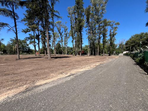 Terrenos En Venta Loteo Abierto Cedro Azul Gran Ubicación Entrega Inmediata