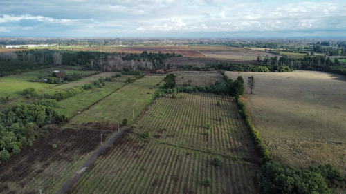 24,15 Hectareas Proyecto Agricola - Inmobiliario San Ignacio