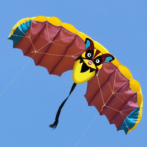 Frameless Kite Com 30m Kites String Flying Kites Parafoil