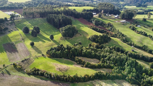 Imagen 13 de 16 de Campito De 7ha Mirador Del Mañio - Los Muermos
