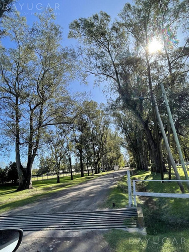 Imagen 17 de 23 de Venta | Club De Campo San Diego | Bayugar Negocios Inmobiliarios