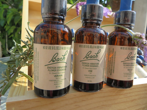 Kit Premium De Flores Bach (tinturas Madre))