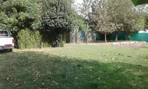 Imagen 3 de 7 de Quinta - Carmen De Areco