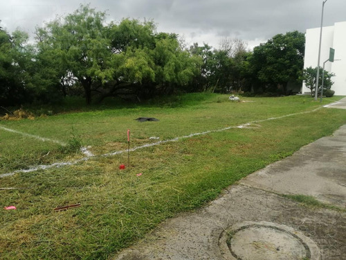 Imagen 1 de 11 de Terreno - Palo Blanco