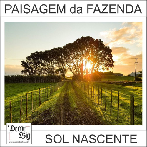 Quadros Decorativos Médio 40cm X 30cm Paisagem, Fazenda Sol