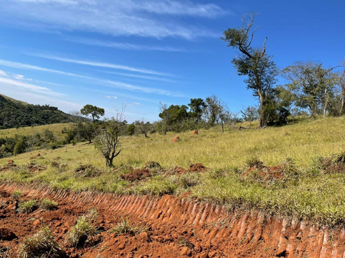 Imagem 14 de 14 de E18- Oportunidade ... Lotes De 2.500m2