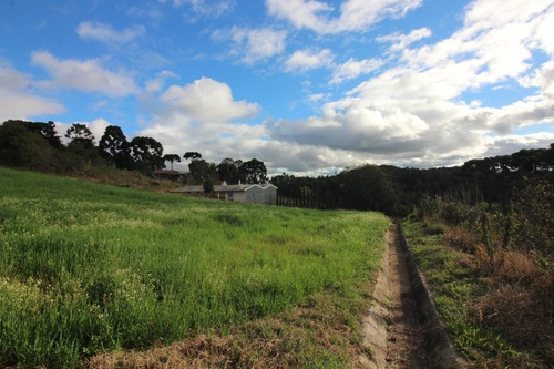 Imagem 7 de 13 de Terreno À Venda, 2500 M² Por R$ 960.000,00 - Centro - Campo Magro/pr - Te0364