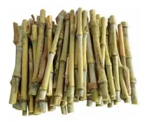 Comprar 100 Mudas Brs Capiaçu - Capim Elefante