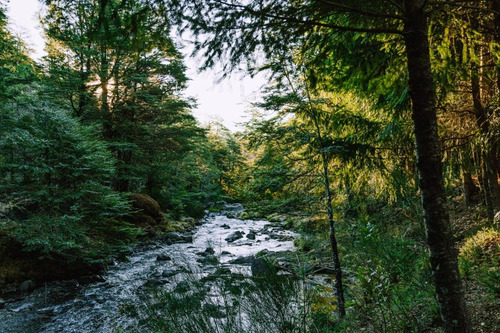 Precio Increible Cercano Pucon Hermosas Parcelas De Montaña
