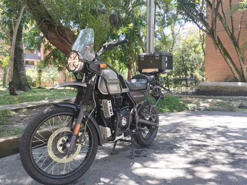 Royal Himalayan En Un Exce Estado Único Dueño De Agencia