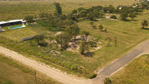 Terreno - Lote  - 1930 M2 - Luis Palacios