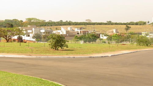 Imagem 7 de 10 de Terrenos - Ref: V6962
