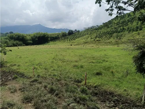Se Vende Finca Vía Barragan - Rio Verde
