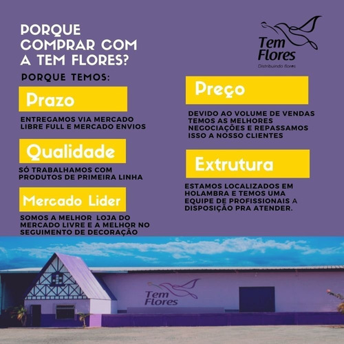 Bolinha Angelin Desidratado Decoração