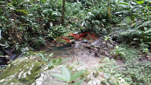 Imagem 2 de 15 de Chácara Em Canelinha - Canelinha, Sc - 129