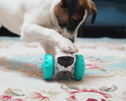 Vaso Interactivo Para Perro Alimentador Lento