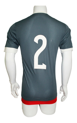 Camiseta Paraguay 2017-18 adidas Gris Profesional Utilería