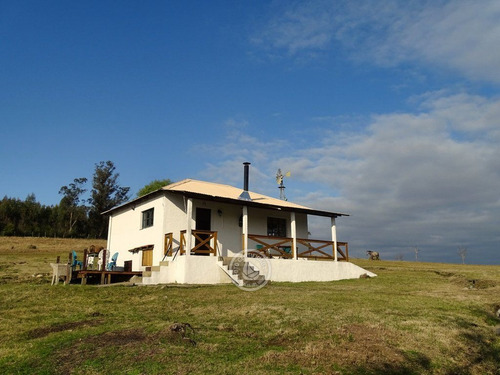 Imagen 4 de 30 de Las Anacahuitas En Lavalleja