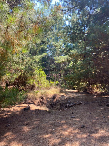 En Venta Excelente Sitio A 5 Minutos De Puertecillo