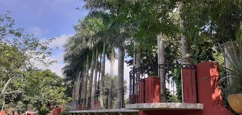 Imagen 2 de 20 de Espectacular Hacienda En Tekit