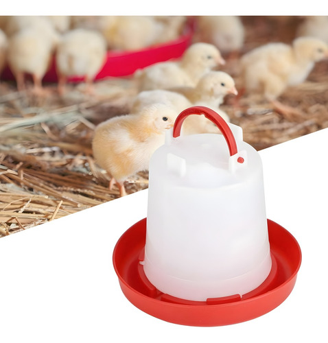 Bebedero Gallinas Pollos Granja Bebederos Aves Pajaros 6 Lts