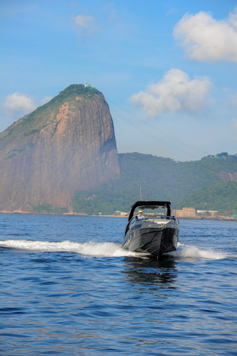 Nx 290 New Series 2025