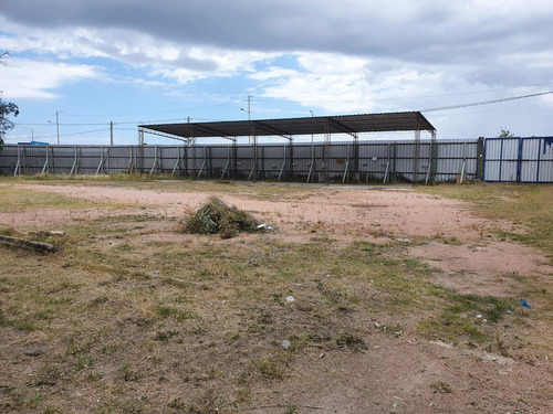 Imagen 7 de 19 de Camino Carrasco Prox Aeropuerto , Predio De 10000 M2 Y 4000 M2 De Depósitos !!