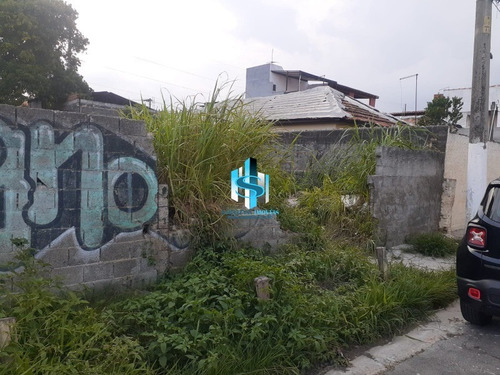 Imagem 2 de 6 de Terreno A Venda Em São Paulo São Miguel Paulista - Te00540 - 70735800