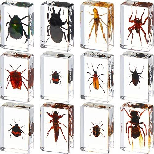12 Piezas De Insectos En Resina, Colección De Bichos, Pisap