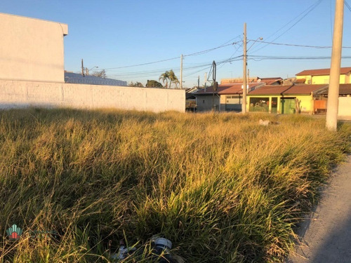 Imagem 5 de 8 de Terreno - 4919 - 69907108
