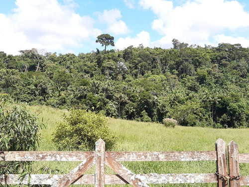 Imagem 2 de 15 de Sítio Enseada Com Reserva Legal E App Linda, Local Exclusivo