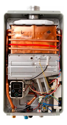 Aquecedor Digital A Gás Rinnai E330 Standard 110v/220v