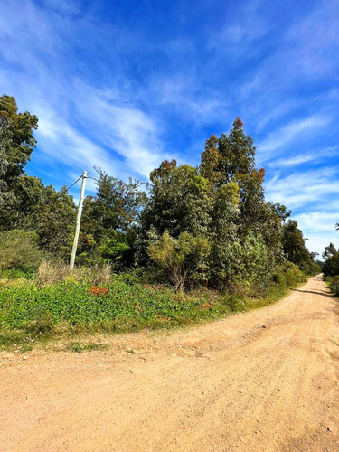 Imagen 7 de 13 de Terreno Esquina Venta Costa Azul Canelones